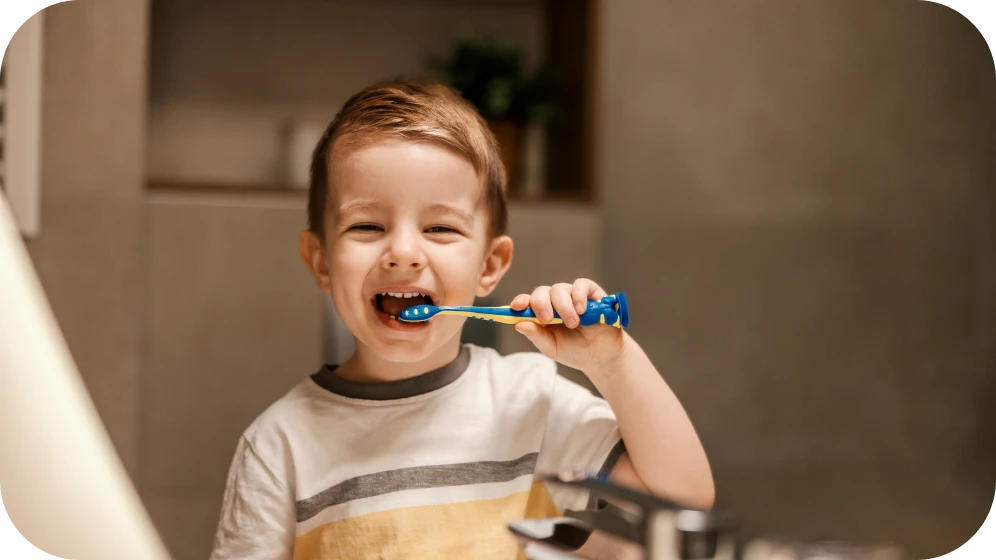 disjoncteur maxillaire correction grenoble Disjoncteur Cabinet d’orthodontie Drs. ROCCA & Associés